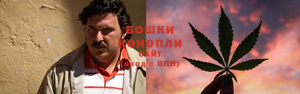 шишки Ханты-Мансийск