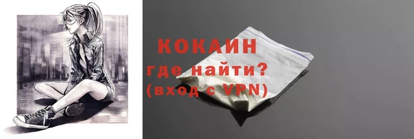шишки Ханты-Мансийск