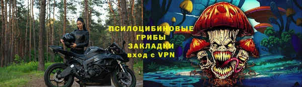 шишки Ханты-Мансийск