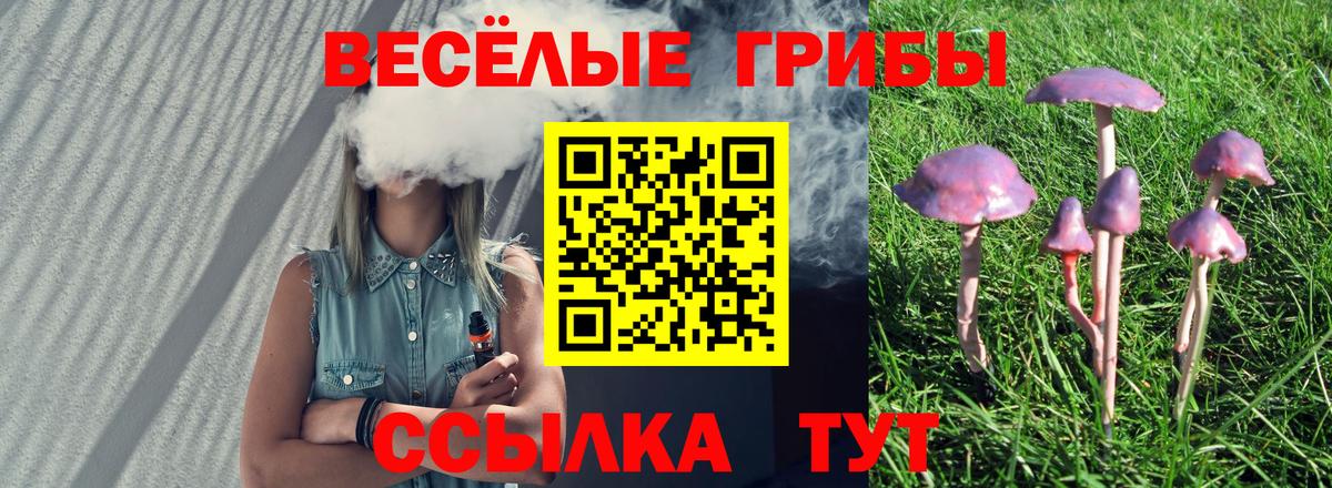 Галлюциногенные грибы мухоморы  Псилоцибиновые грибы прущие грибы  Феодосия  Вход с VPN 