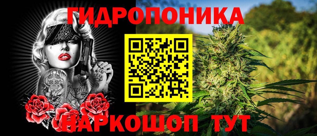 Каннабис ГИДРОПОН  Марихуана тримм  Вход с VPN  Конопля конопля  Феодосия  Бошки Шишки Bruce Banner 